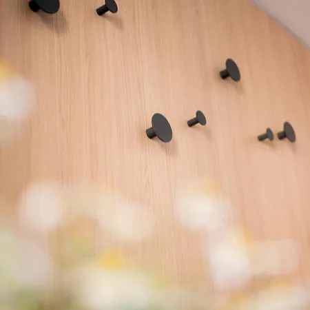 Semesterbostad Morava Veselí nad Moravou