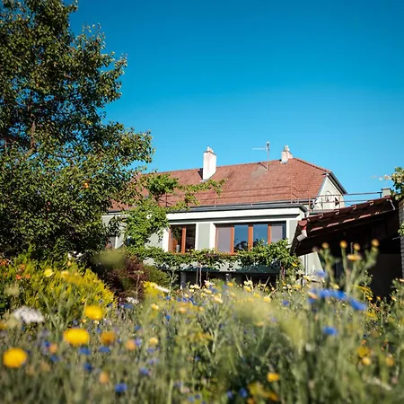 Morava Veselí nad Moravou